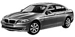 BMW F10 B1D12 Fault Code